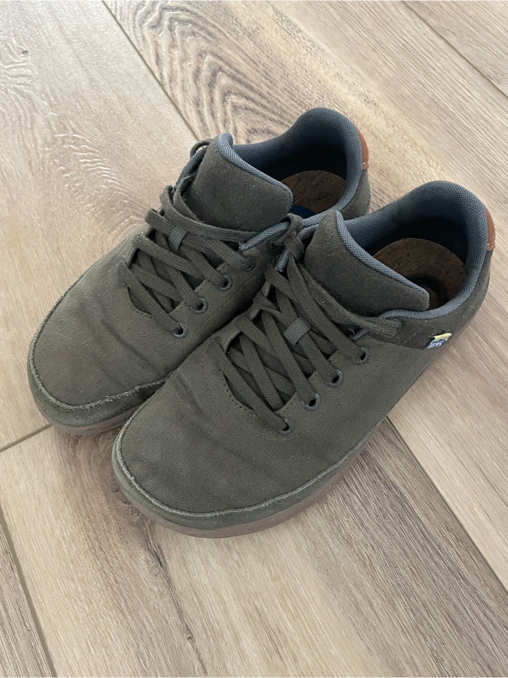 Lems Chillum Canvas Shoes